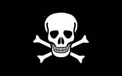 Pirate_Flag.svg.jpg